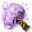 Medvědí žluč.png