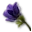 Medvědí žluč.png